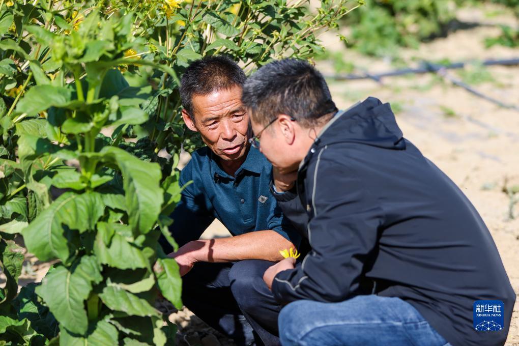捕鱼大厅10元就可以提现的